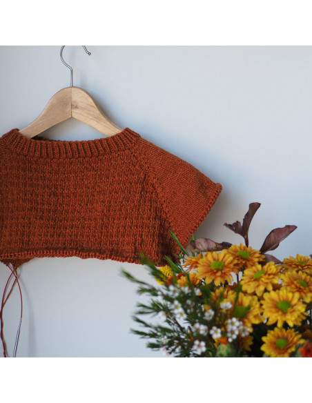 CasaSol Kit Teje Conmigo Jersey Lola punto by @luymou